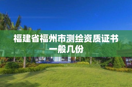 福建省福州市測繪資質證書一般幾份