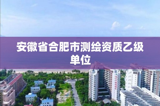 安徽省合肥市測繪資質乙級單位