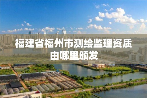 福建省福州市測繪監理資質由哪里頒發