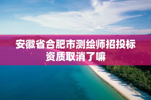 安徽省合肥市測繪師招投標資質取消了嘛