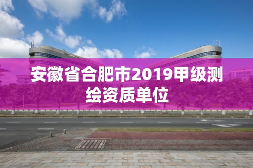 安徽省合肥市2019甲級測繪資質單位