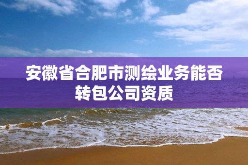 安徽省合肥市測繪業務能否轉包公司資質