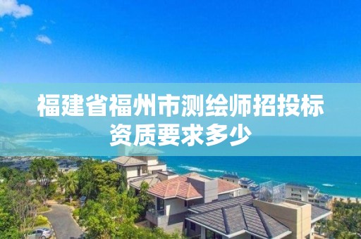 福建省福州市測繪師招投標資質要求多少