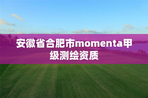 安徽省合肥市momenta甲級測繪資質