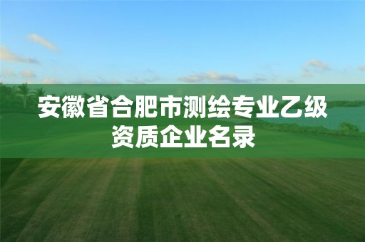 安徽省合肥市測繪專業乙級資質企業名錄