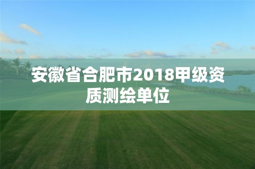 安徽省合肥市2018甲級資質測繪單位