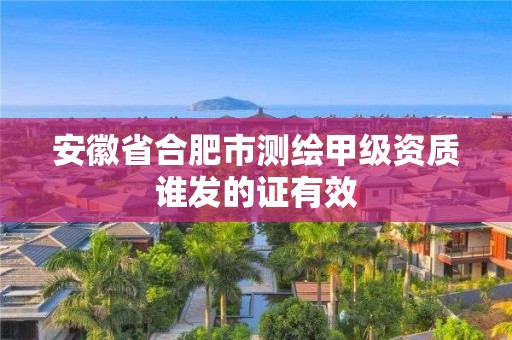 安徽省合肥市測(cè)繪甲級(jí)資質(zhì)誰(shuí)發(fā)的證有效