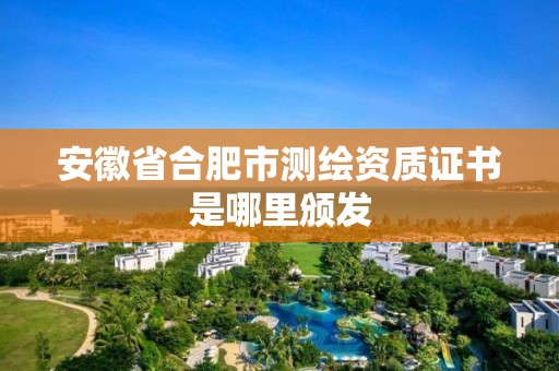 安徽省合肥市測(cè)繪資質(zhì)證書是哪里頒發(fā)