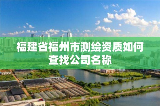 福建省福州市測繪資質如何查找公司名稱