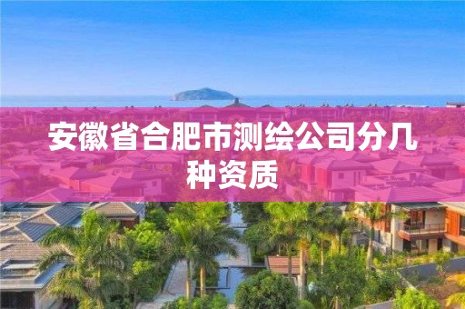 安徽省合肥市測(cè)繪公司分幾種資質(zhì)