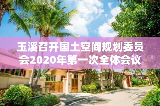 玉溪召開國土空間規(guī)劃委員會2020年第一次全體會議 審議通過《玉溪市國土空間規(guī)劃管理辦法（試行）》