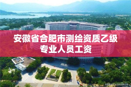 安徽省合肥市測繪資質乙級專業人員工資