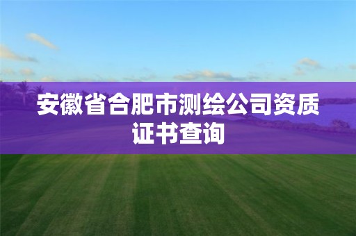 安徽省合肥市測繪公司資質(zhì)證書查詢