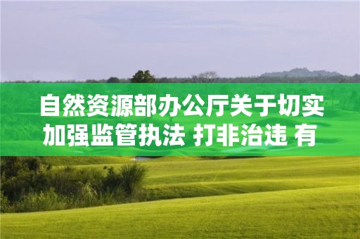 自然資源部辦公廳關于切實加強監管執法 打非治違 有效防范消除安全風險隱患的通知