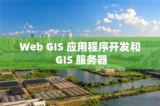 Web GIS 應用程序開發和 GIS 服務器