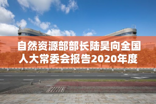 自然資源部部長(zhǎng)陸昊向全國(guó)人大常委會(huì)報(bào)告2020年度國(guó)有自然資源資產(chǎn)管理情況