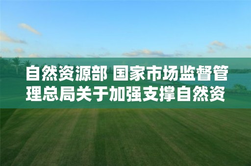 自然資源部 國家市場監督管理總局關于加強支撐自然資源事業高質量發展的檢驗檢測能力建設的通知