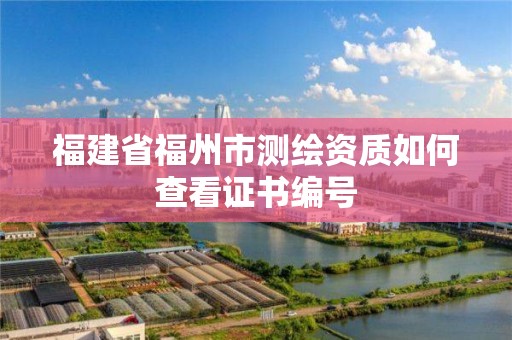 福建省福州市測繪資質如何查看證書編號