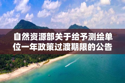 自然資源部關于給予測繪單位一年政策過渡期限的公告