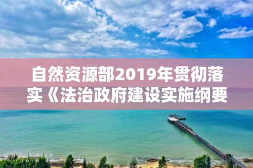 自然資源部2019年貫徹落實《法治政府建設實施綱要（2015-2020年）》情況