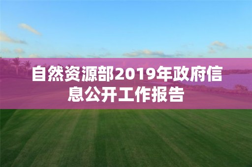 自然資源部2019年政府信息公開工作報告