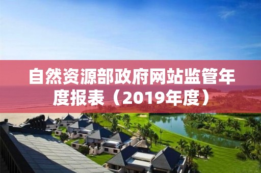 自然資源部政府網(wǎng)站監(jiān)管年度報表（2019年度）