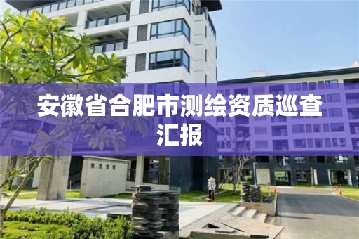 安徽省合肥市測繪資質巡查匯報