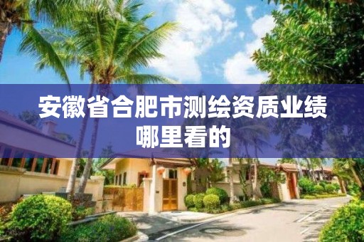 安徽省合肥市測繪資質業績哪里看的