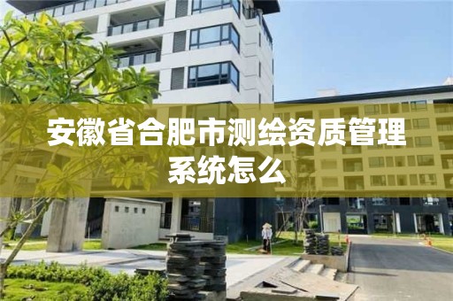 安徽省合肥市測繪資質管理系統怎么