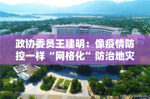 政協委員王建明：像疫情防控一樣“網格化”防治地災