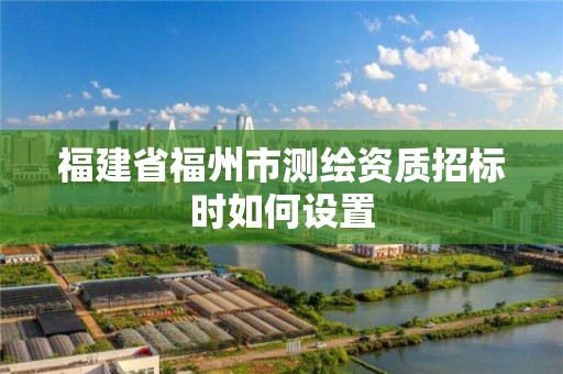 福建省福州市測繪資質招標時如何設置