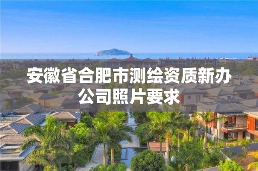 安徽省合肥市測繪資質新辦公司照片要求