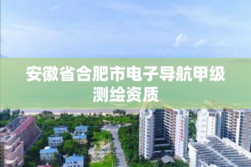 安徽省合肥市電子導航甲級測繪資質