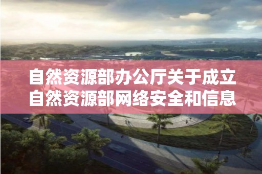 自然資源部辦公廳關于成立自然資源部網絡安全和信息化領導小組及其辦公室的通知