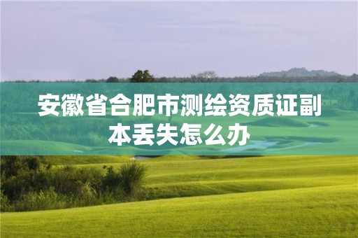 安徽省合肥市測繪資質證副本丟失怎么辦