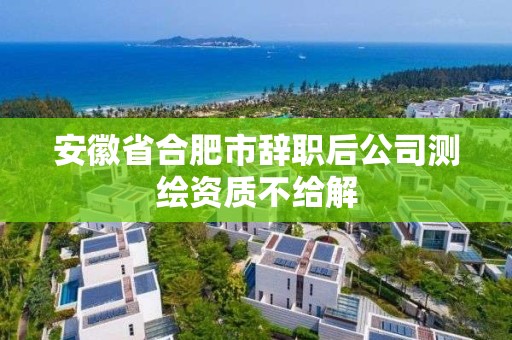 安徽省合肥市辭職后公司測繪資質不給解