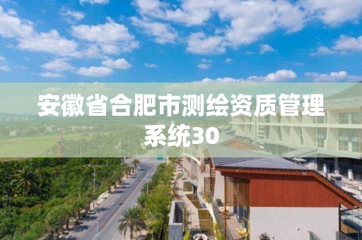 安徽省合肥市測繪資質管理系統30