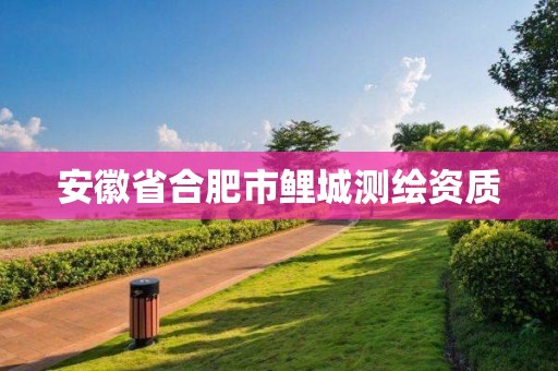 安徽省合肥市鯉城測繪資質