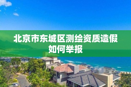 北京市東城區測繪資質造假如何舉報