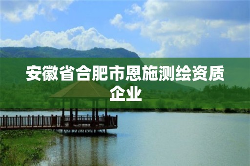 安徽省合肥市恩施測繪資質企業