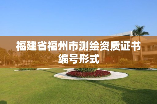 福建省福州市測繪資質證書編號形式