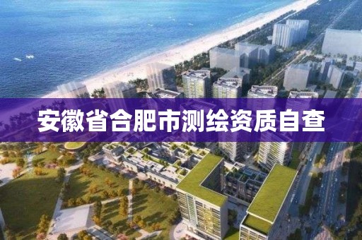 安徽省合肥市測繪資質自查