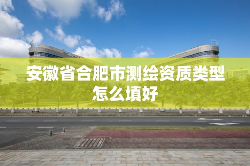 安徽省合肥市測繪資質類型怎么填好