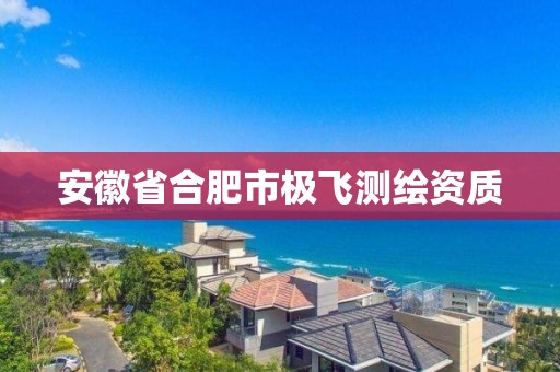 安徽省合肥市極飛測繪資質