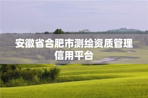 安徽省合肥市測繪資質管理信用平臺