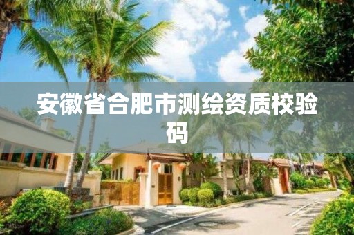 安徽省合肥市測繪資質校驗碼