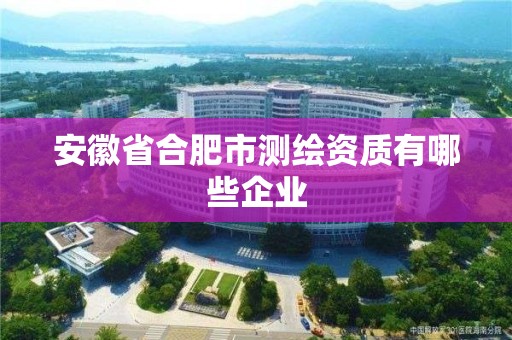 安徽省合肥市測繪資質有哪些企業