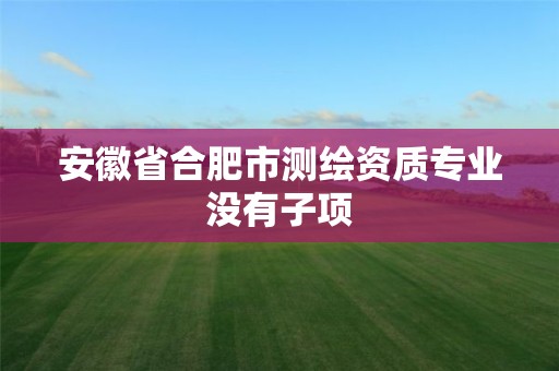 安徽省合肥市測繪資質專業沒有子項