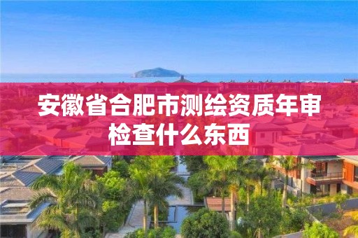 安徽省合肥市測繪資質(zhì)年審檢查什么東西