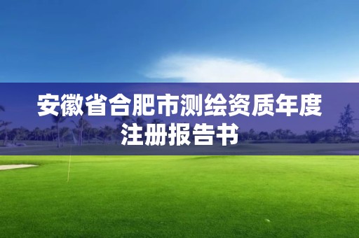 安徽省合肥市測繪資質(zhì)年度注冊報告書